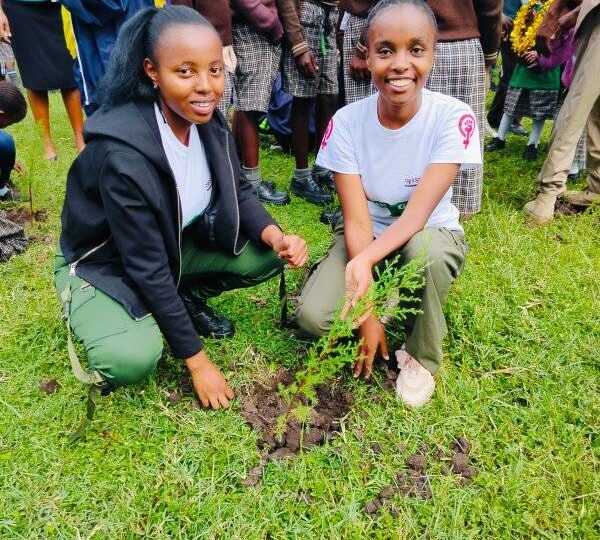 Youth In Green Action